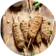 Beef Kabob